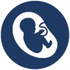 birth icon