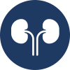 kidney icon